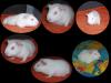 Casper's Collage