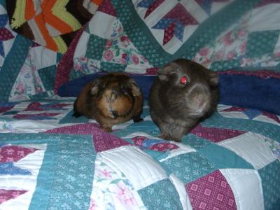 Baby Pic!